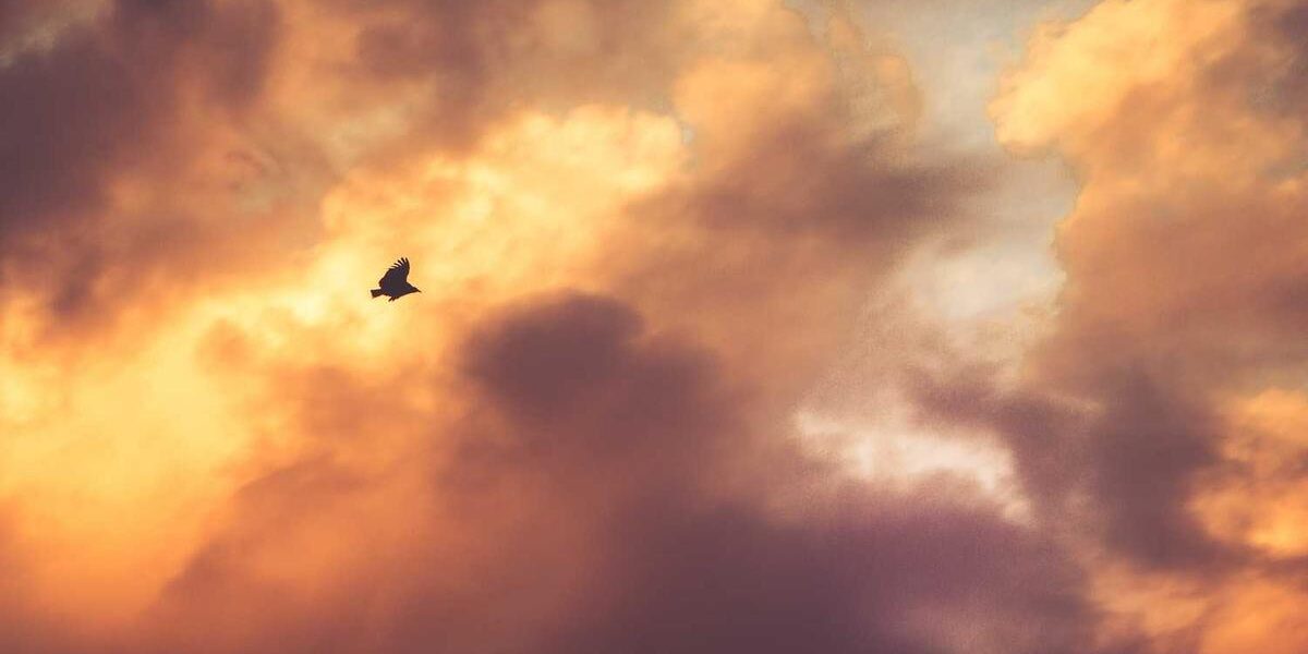 Wheat Penny: Hidden Value Check